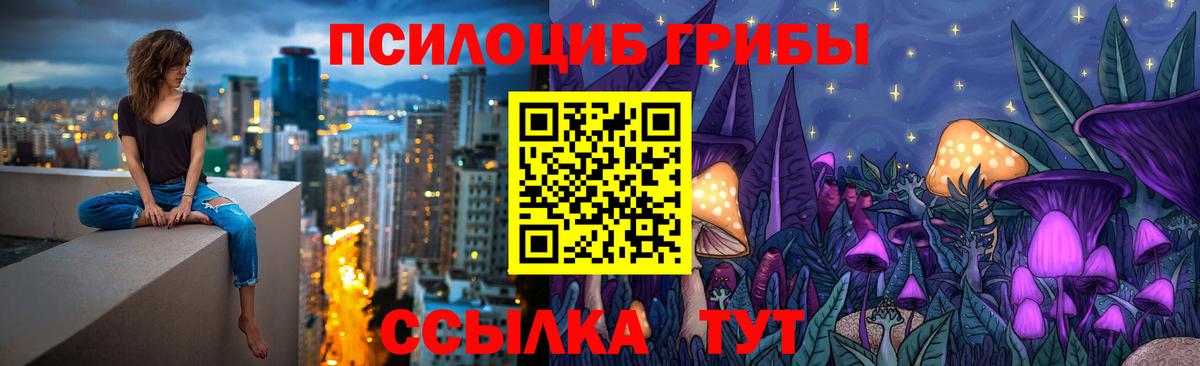 Псилоцибиновые грибы Psilocybe Абакан